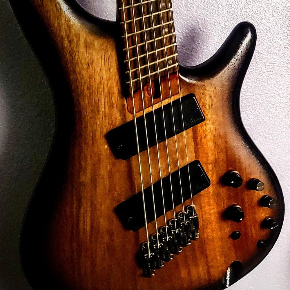 Close-up of an Ibanez multiscale crossover bass guitar hanging on a wall